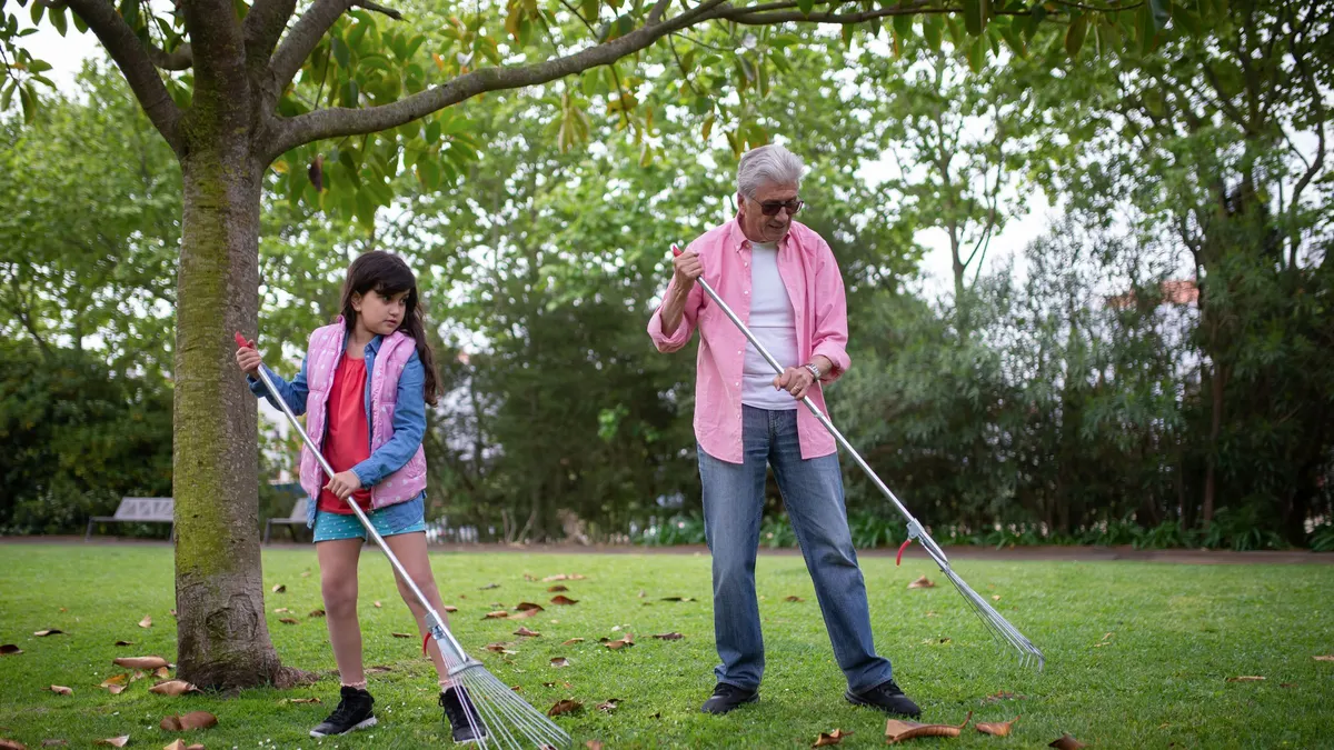 Adult and child raking leaves in a green park