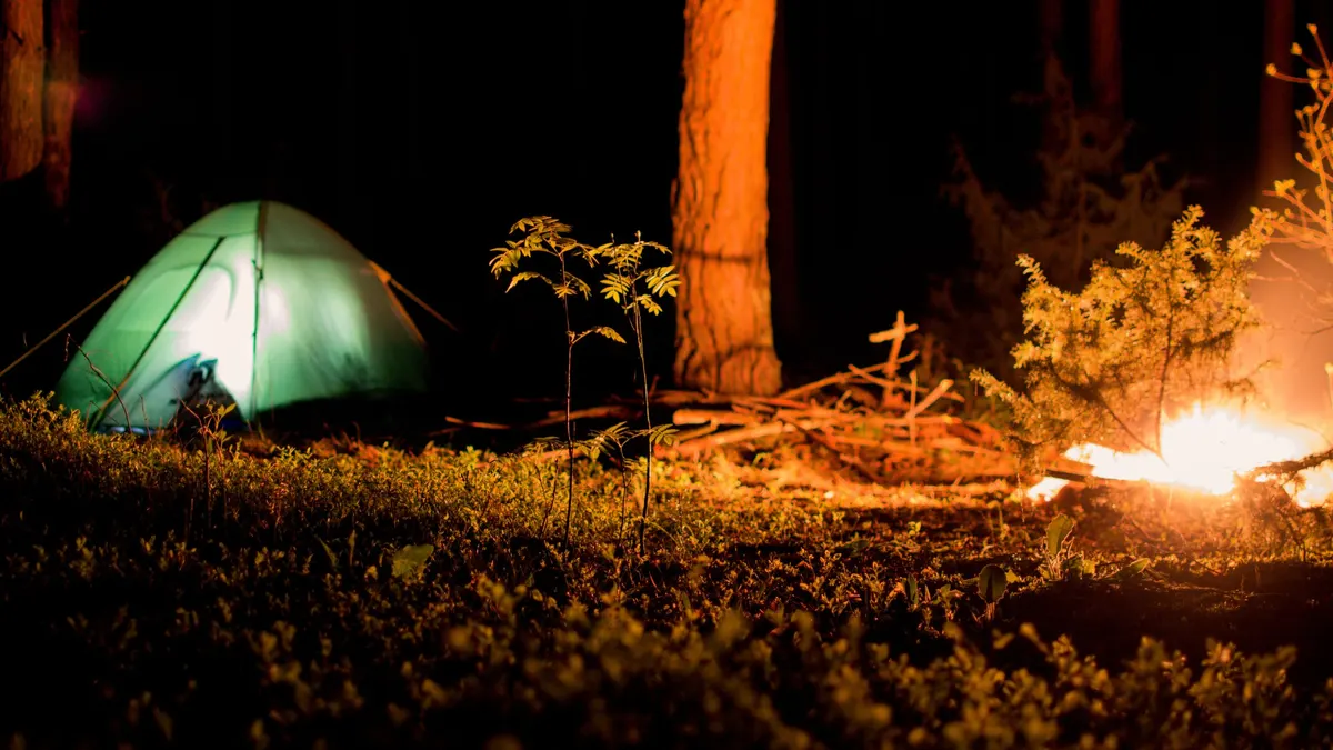 Green tent glowing beside a campfire in a forest at night