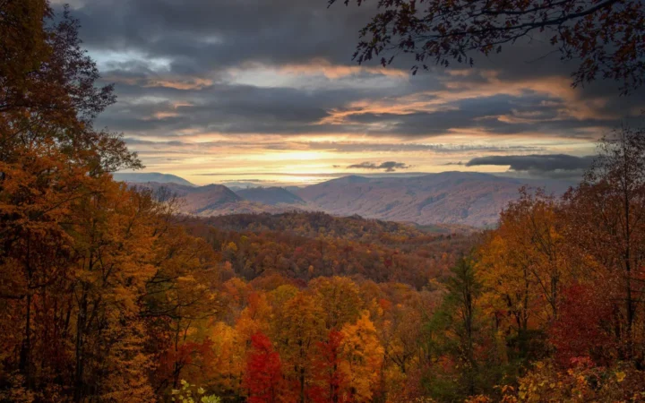 Forested mountain ridges in autumn color under a golden sky