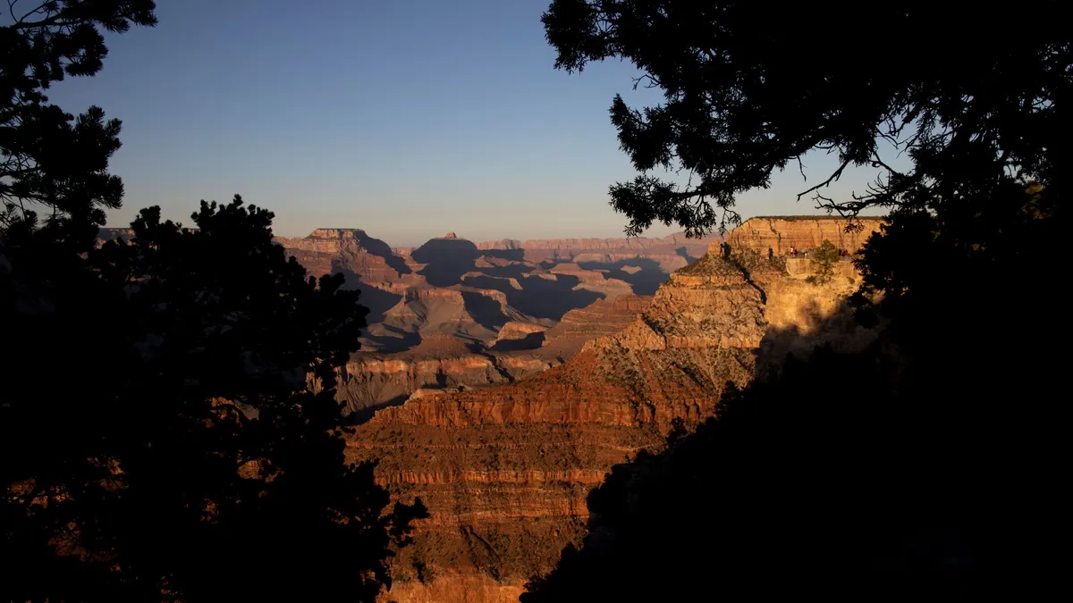 Canyon rim at sunset framed by dark tree silhouettes