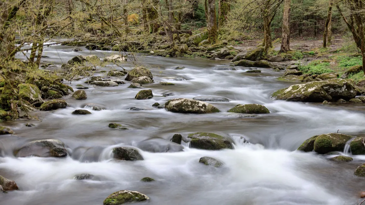 Clear mountain stream flowing over rounded rocks in a forest