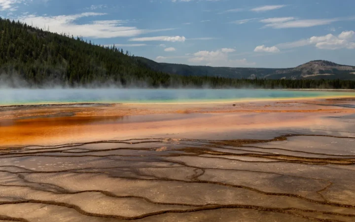 Steam rising over a colorful hot spring basin with forested hills behind