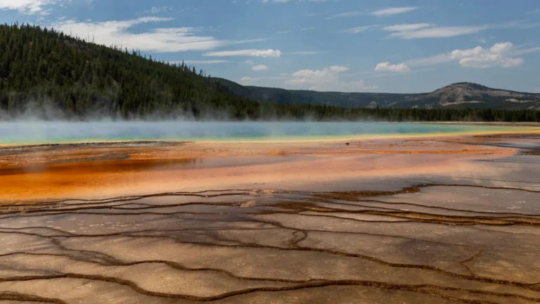 Steam rising over a colorful hot spring basin with forested hills behind