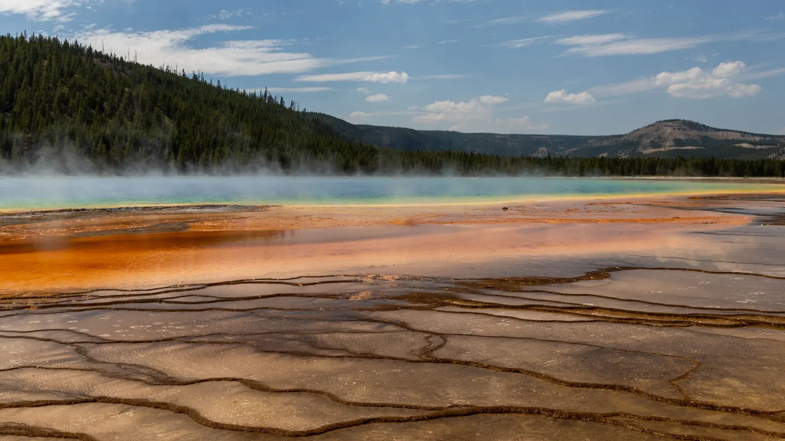 Steam rising over a colorful hot spring basin with forested hills behind